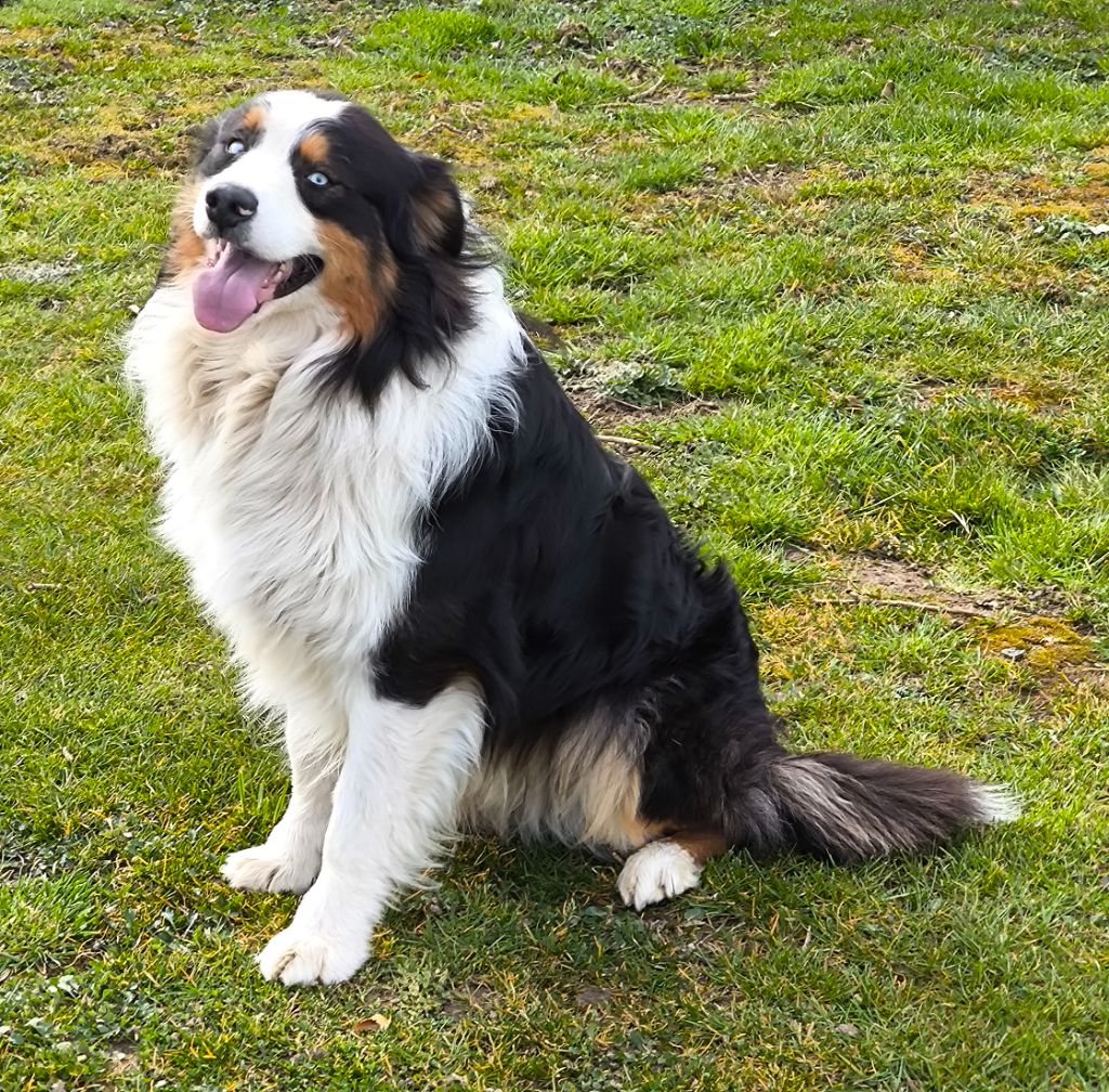 Un espoir Des Furies Noires