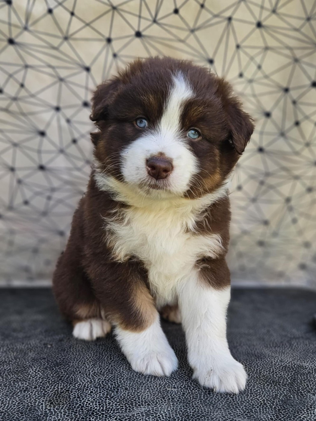 A CENT POUR CENT JINX de nanj'kaibloom