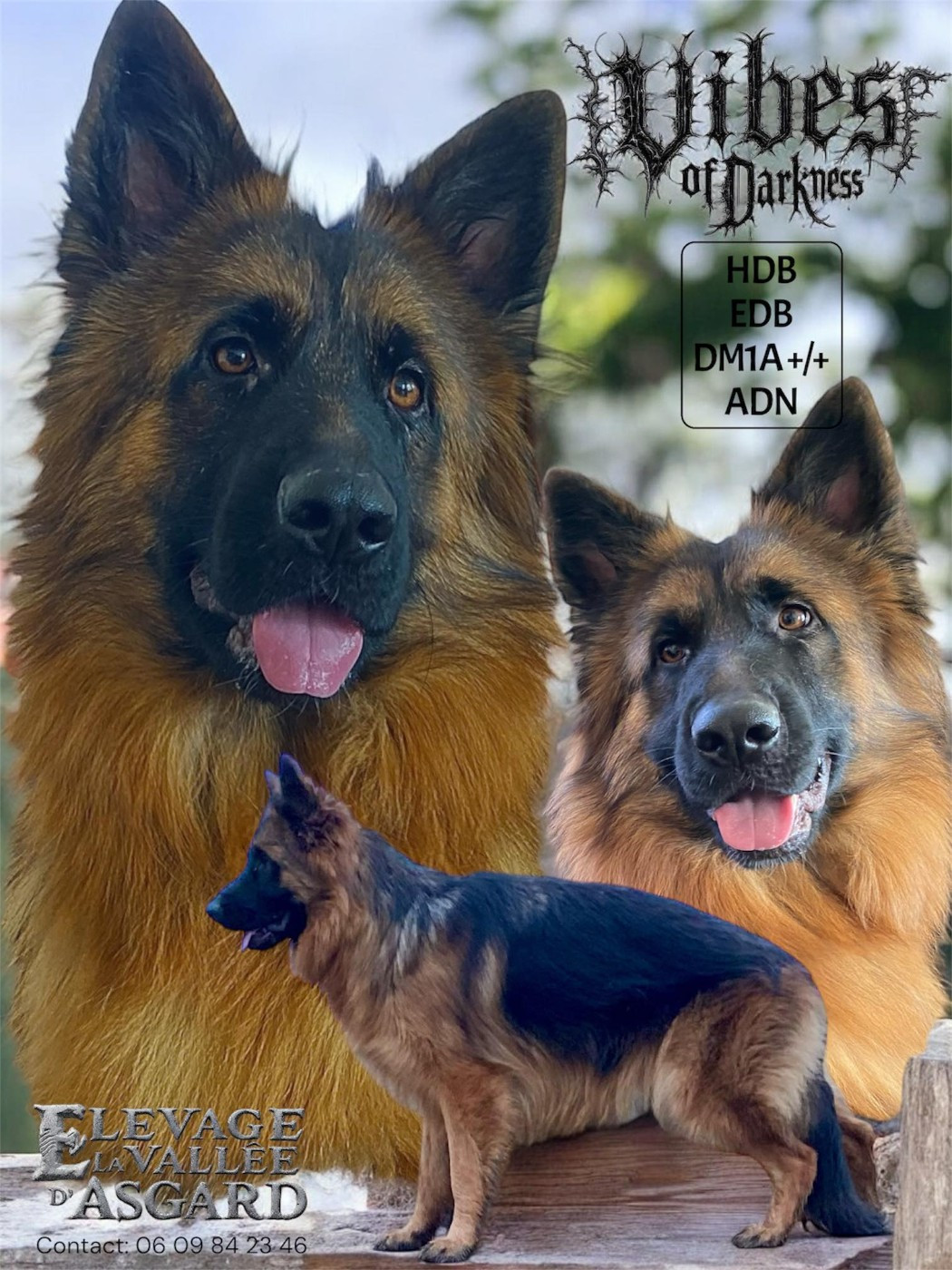 Légitime Démence Vibes-of-darkness